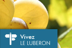 Vins Luberon